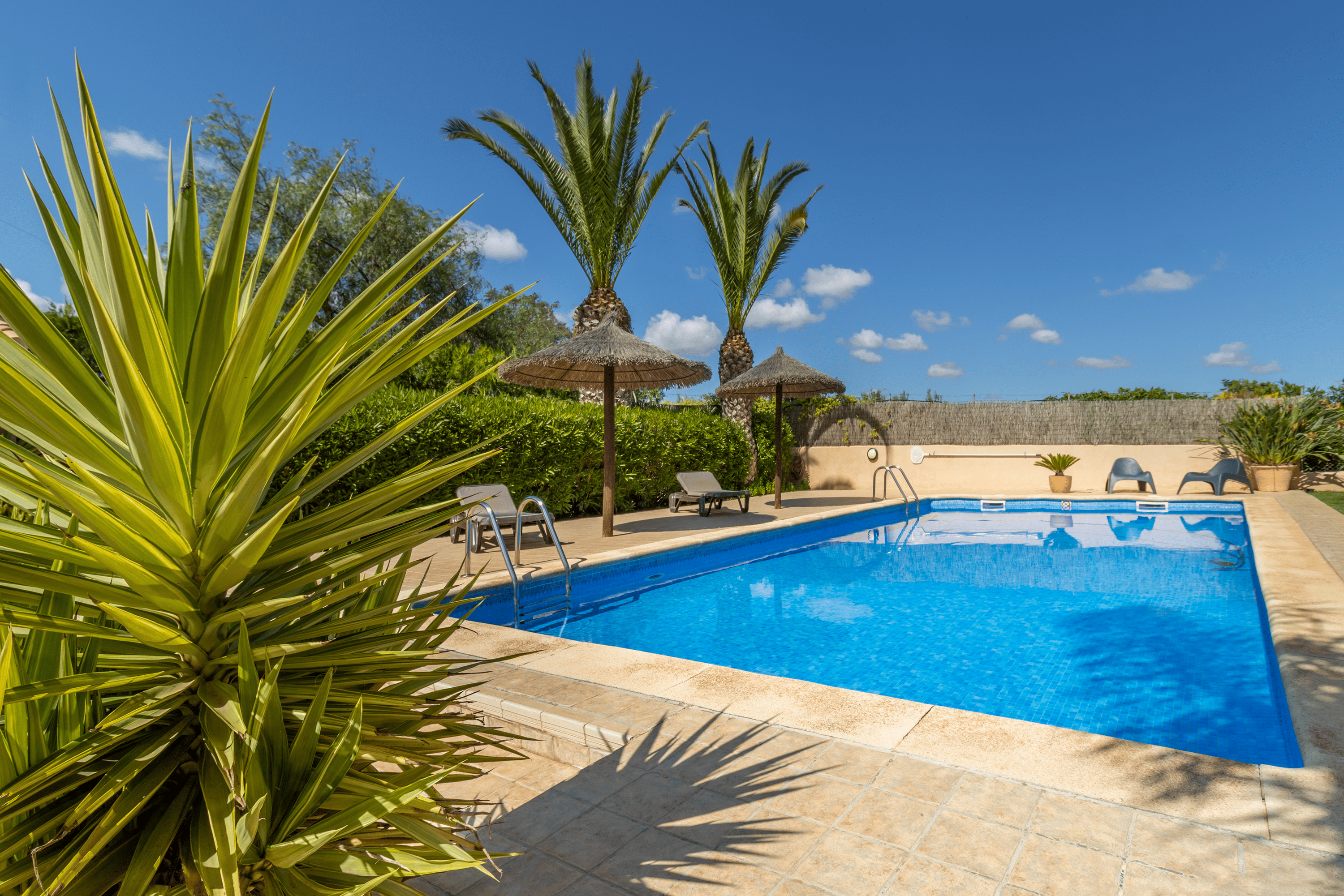 Private pool with Mediterranean greenery
